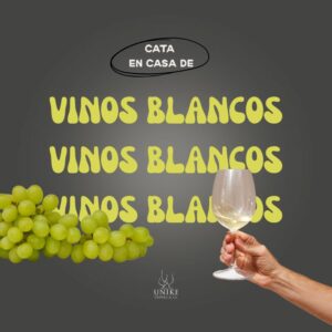 Mano sosteniendo una copa de vino blanco junto a un racimo de uvas verdes para una cata maridada en casa de vinos blancos