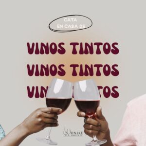 Cata maridada de vinos tintos: Dos personas brindando con copas de vino tinto durante una cata en casa.