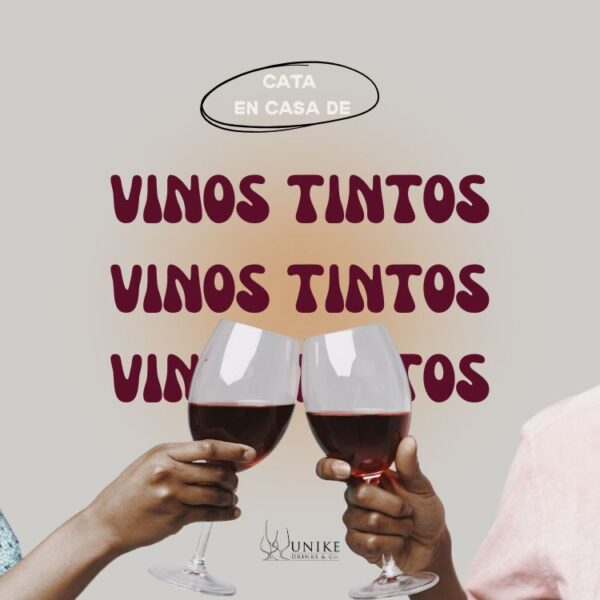 Cata maridada de vinos tintos: Dos personas brindando con copas de vino tinto durante una cata en casa.