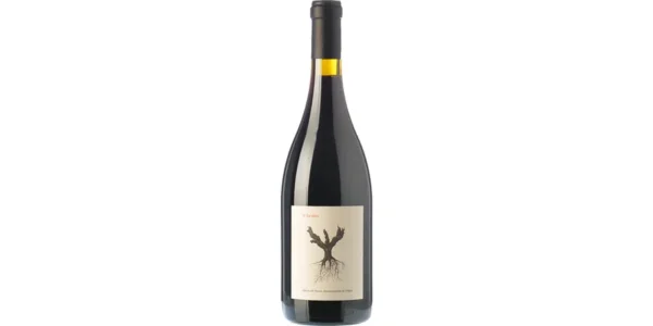 Botella elegante del vino PSI 2022 de Dominio de Pingus sobre fondo blanco